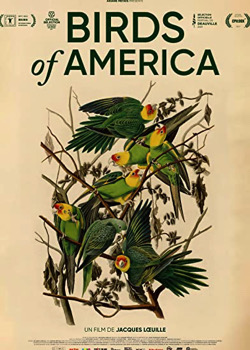 Birds of America   height=