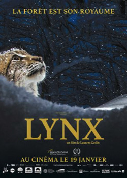 Lynx   height=