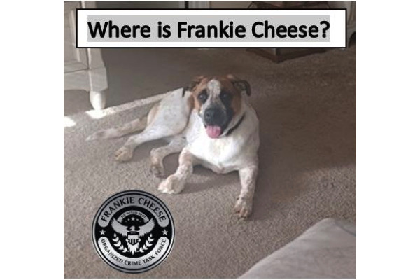,@,where-is-frankie-cheese2024021013, - Where is Frankie Cheese? : 18 morceaux sélectionnés par I.A pour cette comédie criminelle, une première !
