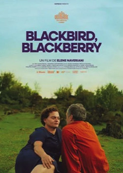 Blackbird, Blackberry   height=