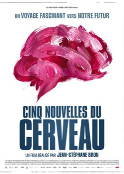 Cinq nouvelles du cerveau   height=