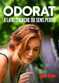 Odorat : à la recherche du sens perdu   height=