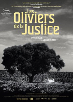 Les Oliviers de la justice   height=