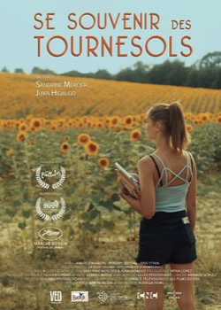 Se souvenir des tournesols   height=