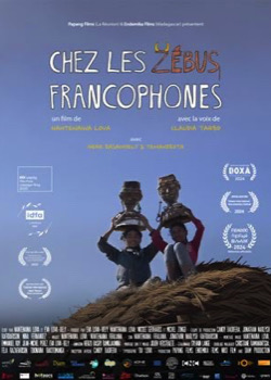 Sitabaomba, Chez les zébus francophones   height=