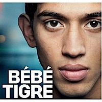 Bébé tigre