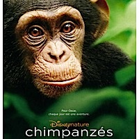 Chimpanzés