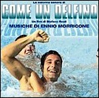 Come un delfino