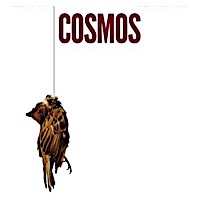 Cosmos