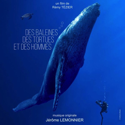 Des baleines, des tortues et des hommes