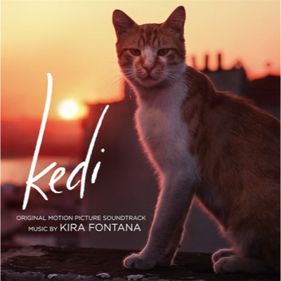 Kedi