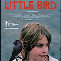 Little Bird