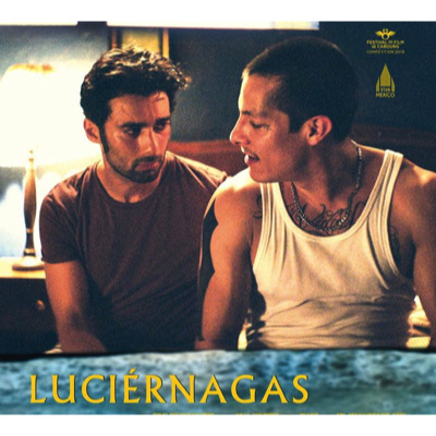 Luciérnagas