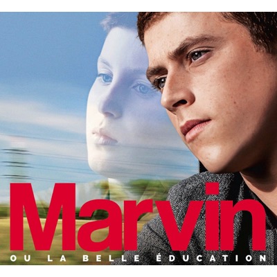 Marvin ou la belle éducation