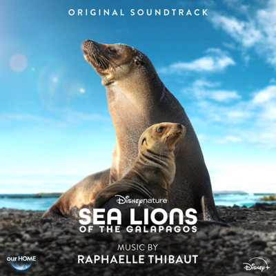 Otaries des Galápagos