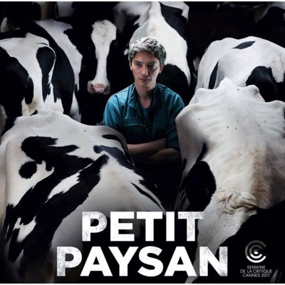 Petit Paysan