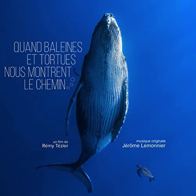 Quand baleines et tortues nous montrent le chemin