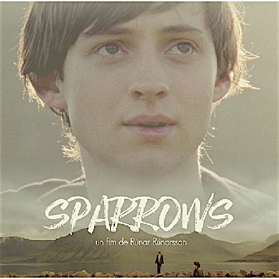 Sparrows