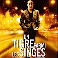 Un tigre parmi les singes