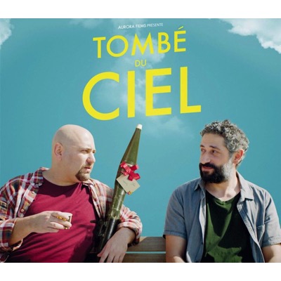 Tombé du ciel