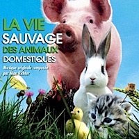 La Vie sauvage des animaux domestiques