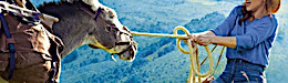antoinette-dans-les-cevennes2020060420
