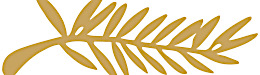 Cannes