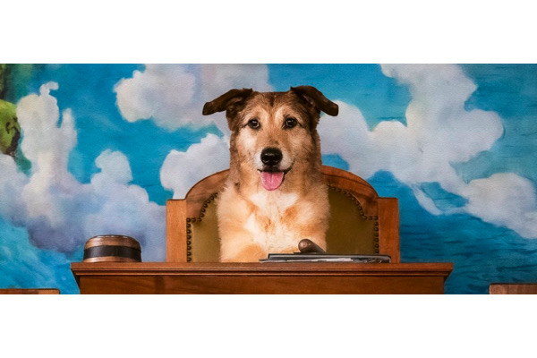 ,@,proces-du-chien2024032601,sztanke,Cannes 2024, - Interview BO : Laetitia Dosch & David Sztanke, Le Procès du chien